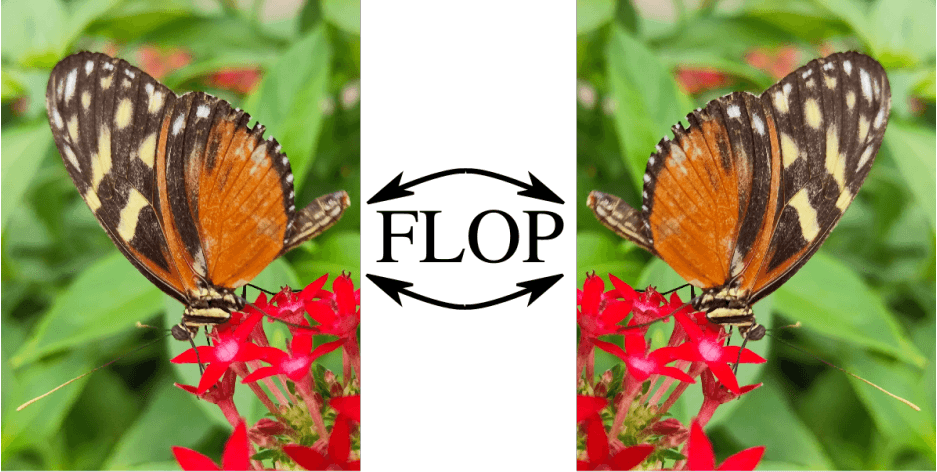 Flopping for FLOPs