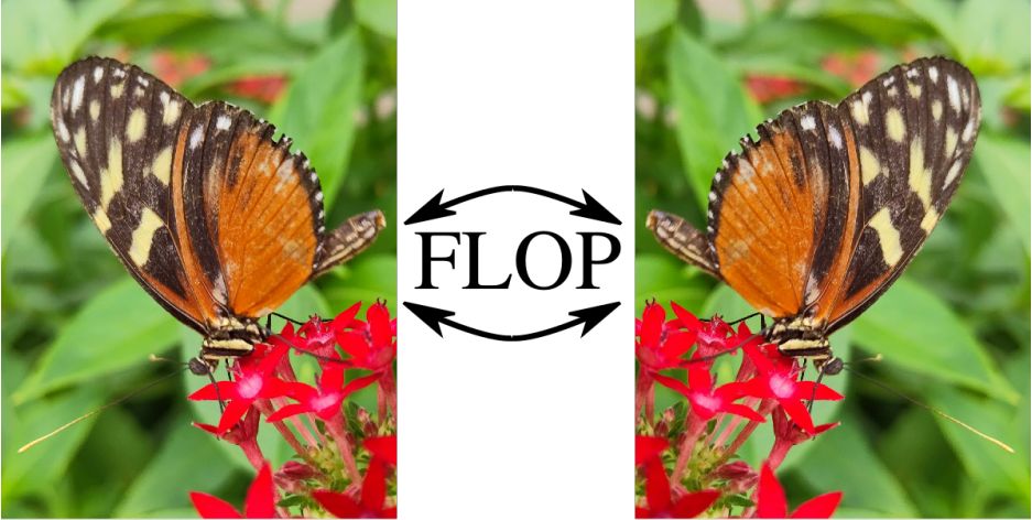 Flopping for FLOPs